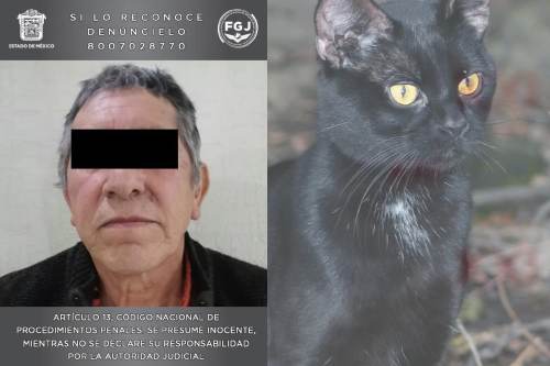 De terror; encuentran sepultados en su casa de Valle de Chalco, restos humanos y de animales